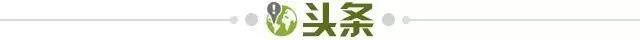 1721668782112019506.jpg 头条.jpg